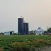 williamscheer3 - @williamscheer3 - TikTok