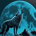William Chess - Facebook