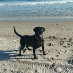 William Chestnutt - @william.chestnutt - Instagram