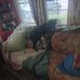 William Chilcott - Facebook