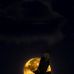 Chuma Wills - Facebook