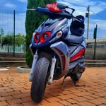 william cirillo - @_william_cirillo_ - Instagram