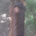 William Clavel - Facebook
