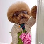 William Claycomb - @williamclaycomb - Instagram