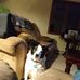 William Claycomb - Facebook