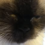 William Claypool - @cada_baby - Instagram