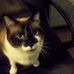 William Cloninger - Facebook