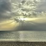 William Clos - @closwilliam - Instagram