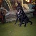 William Coachman - Facebook