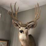 William Coble - @jumper505504 - Instagram