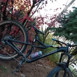 William Cockrell - @cockrell_william - Instagram