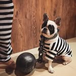 William - @coco_._william - Instagram