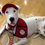 William Coderre - @bcoderre5 - Instagram
