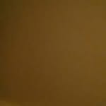 William Coenen - @coenenwilliam - Instagram