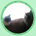 William Coffield - Facebook