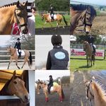 William Collett - @william_collett - Instagram