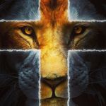 William Collett - @collett7164 - Instagram