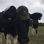 William Collett - @collettw - Instagram