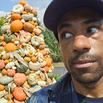 William Colston - @williamcolston - Instagram