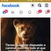 Wiliam Caminos - Facebook