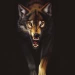 @william_conger - Instagram