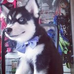 William Consuegra - @wilconp1 - Instagram