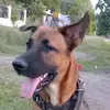 William Consuegra - @william.consuegra2 - TikTok