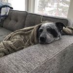 William Contois - @meyeti96 - Instagram