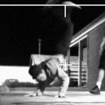 William Coombs - @ninja_break__dancer - Instagram