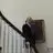 William Copper - @william.copper - TikTok