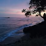 William Corado - @william.corado.7549 - Instagram
