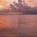 William Cordle - @wcordle66 - Instagram