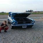 William Cornwall - @cornwallwilliam - Instagram