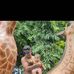 William Coronel - Facebook