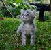 William Corrales - Facebook