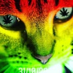 william corredor - @william46509 - Instagram