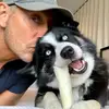 Williamcorrigan2 - @williamcorrigan2 - TikTok
