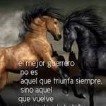 William Cotto - @cotto_william - Instagram