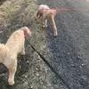 A_Coudriet - @a.coudriet - TikTok