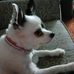 William Countiss - Facebook