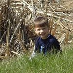 William Courtright - @courtrightwilliam - Instagram