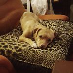 William Courtright - @wrcourtright - Instagram