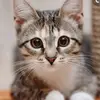 William Cousins - @williamcousins7822 - TikTok