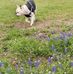 William Crall - Facebook