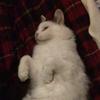 williamcragg829 - @williamcragg829 - TikTok