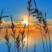 William Craine - Facebook