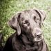 William Craun - Facebook