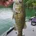 Bill Cremeans - Facebook