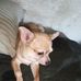 William Cretsinger - Facebook