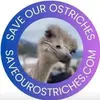 William Langthorne Cribbs - @william.langthorn - TikTok